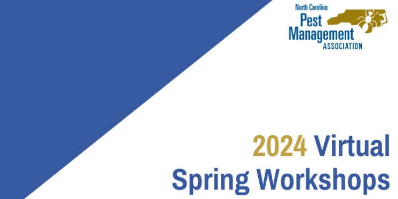 2024 Spring Workshops