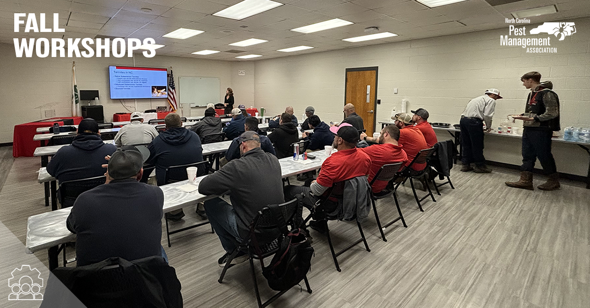 Announcing 2026 Fall Workshops